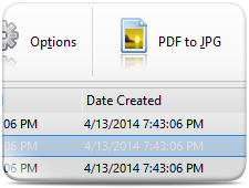 Convert PDF to JPG Images