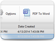 Convert PDF to Word Document